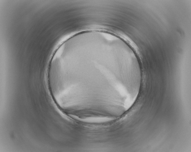 X0000114101429200911161049