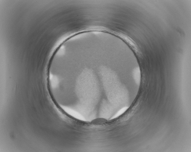 X0000114101430200911161049