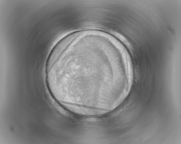 X0000114101431200911161049