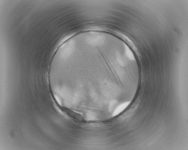 X0000114101433200911161049