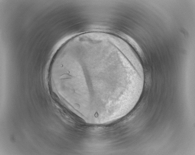 X0000114101435200911161049