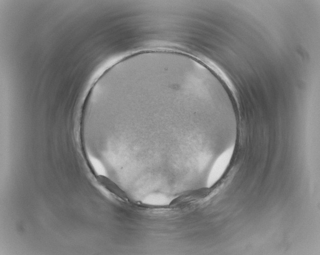 X0000114101437200911161049