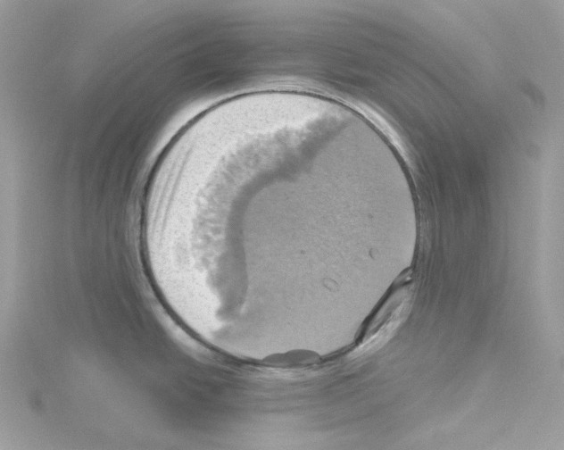 X0000114101438200911161049