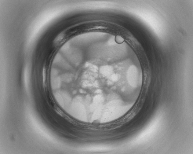 X0000114101439200911161049