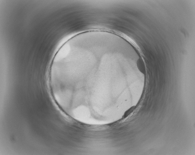 X0000114101440200911161049