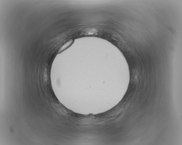 X0000114101442200911161048