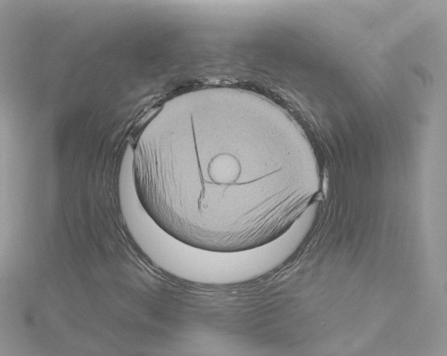 X0000114101444200911161048