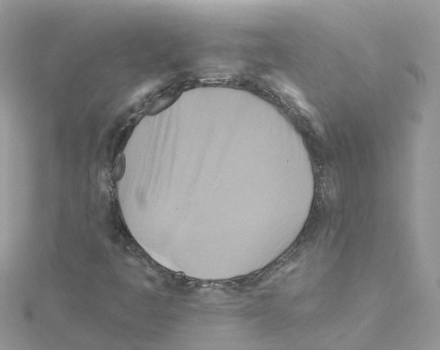 X0000114101445200911161048