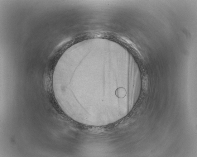 X0000114101446200911161048