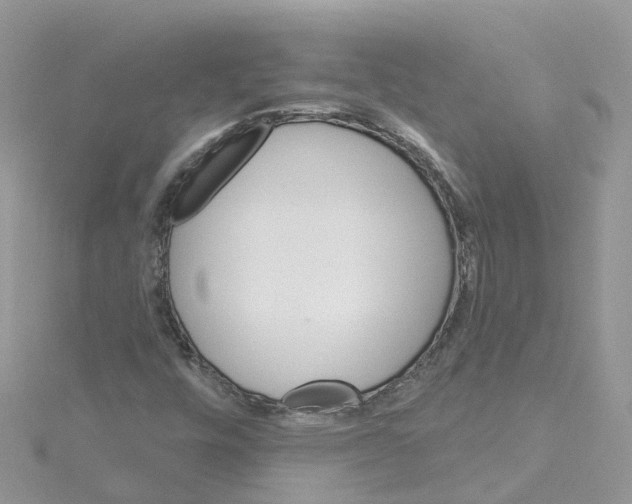 X0000114101448200911161048