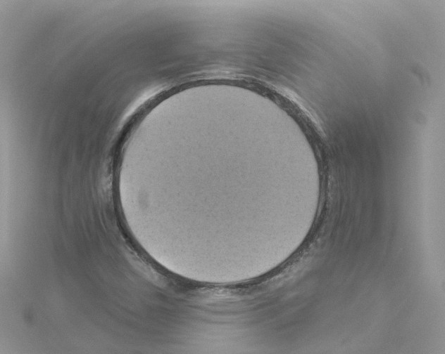 X0000114101450200911161048