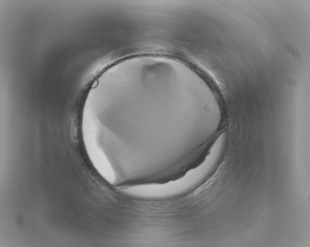 X0000114101455200911161048