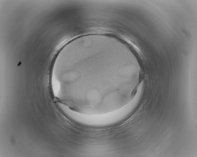 X0000114101459200911161048