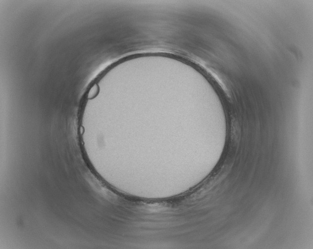 X0000114101460200911161048