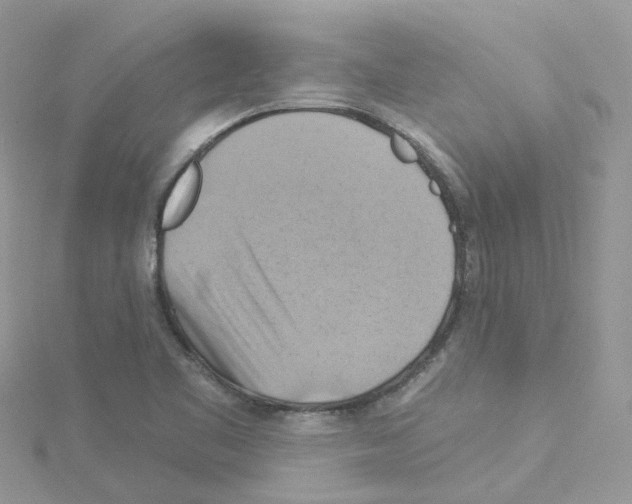 X0000114101461200911161048