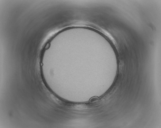 X0000114101464200911161048