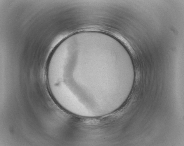 X0000114101466200911161048