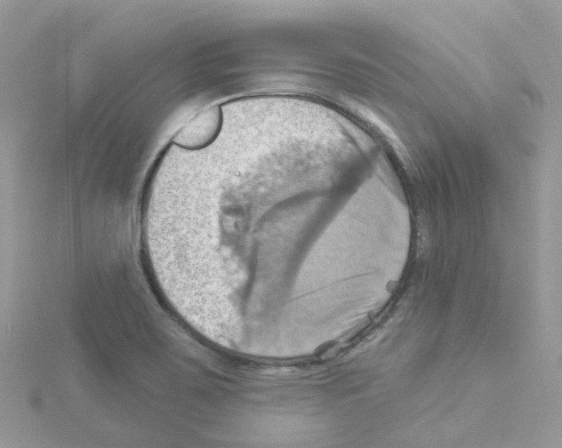 X0000114101467200911161048