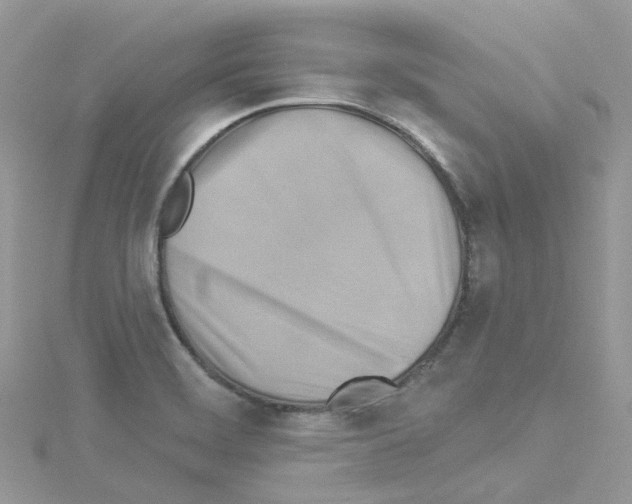 X0000114101468200911161048