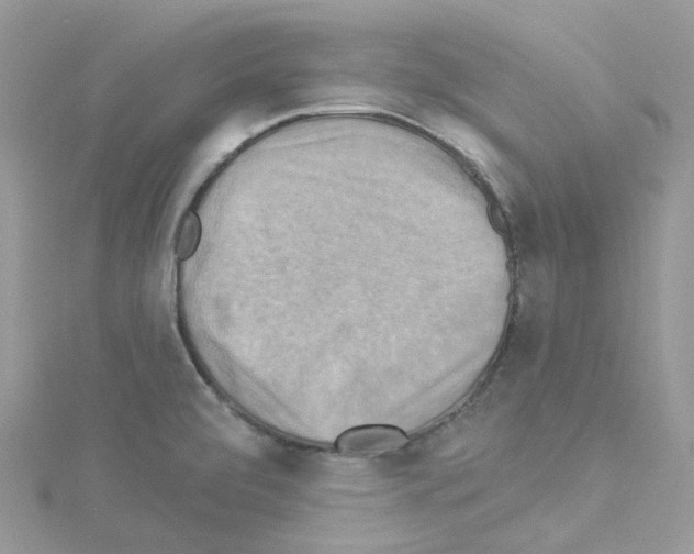 X0000114101472200911161048