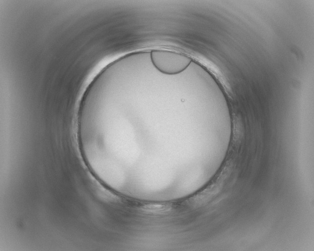 X0000114101478200911161048