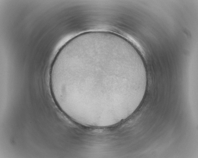 X0000114101480200911161048