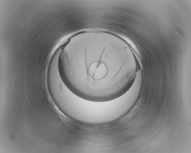 X0000114101485200911161048