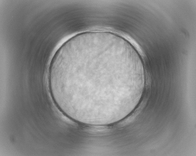 X0000114101486200911161048