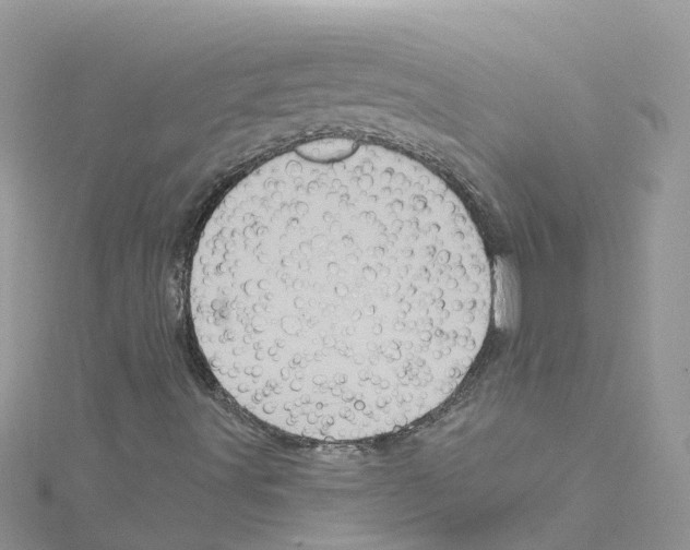 X0000114101491200911161047