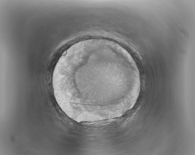 X0000114101494200911161047