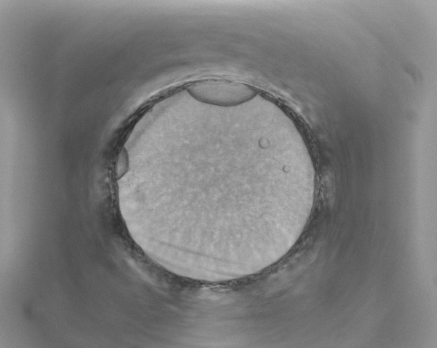 X0000114101496200911161047