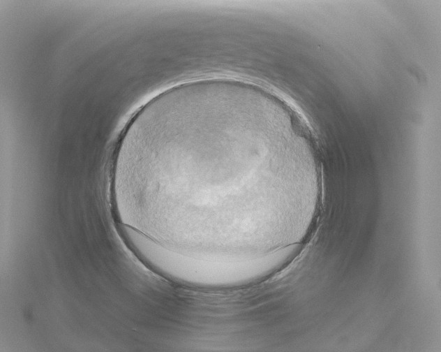 X0000114101500200911161047