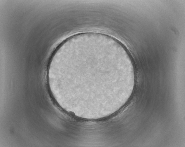 X0000114101507200911161047