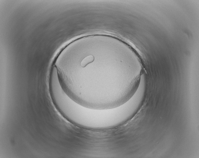 X0000114101508200911161047