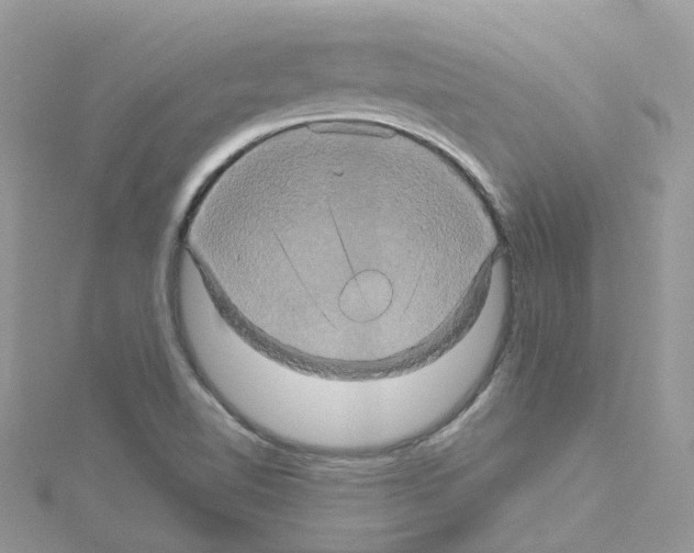 X0000114101510200911161047