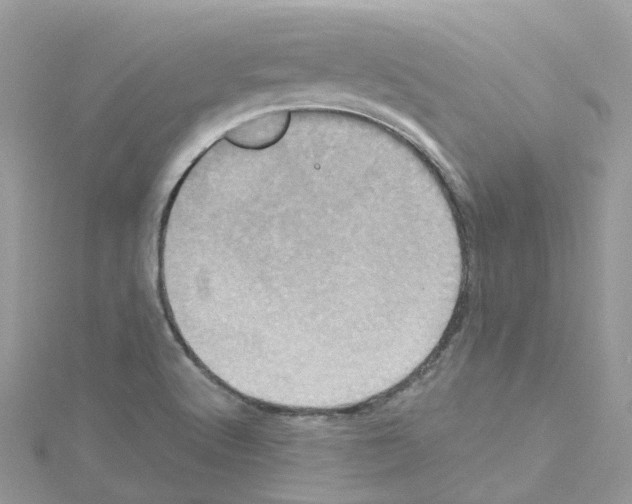 X0000114101512200911161047