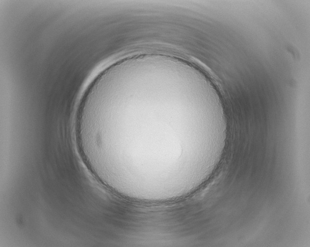 X0000114101514200911161047