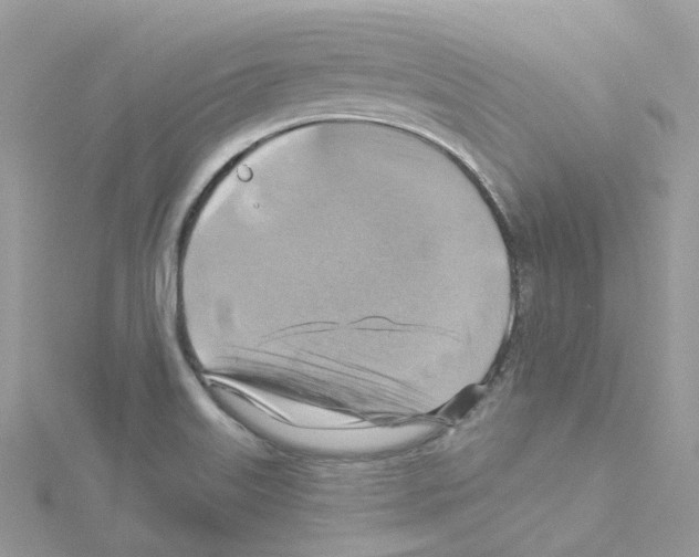 X0000114101515200911161047