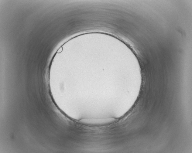 X0000114101516200911161047