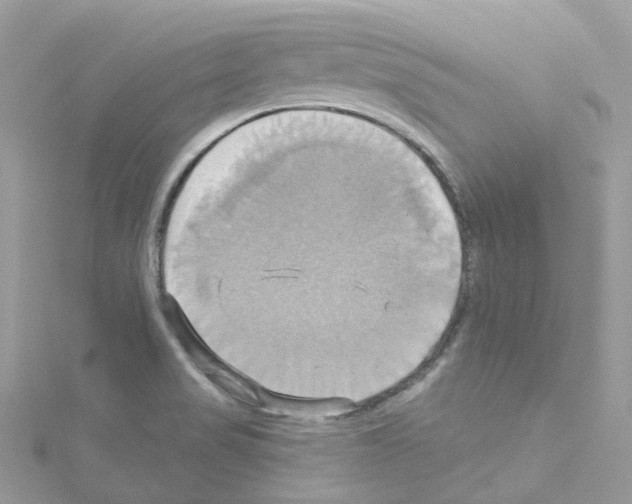 X0000114101517200911161047