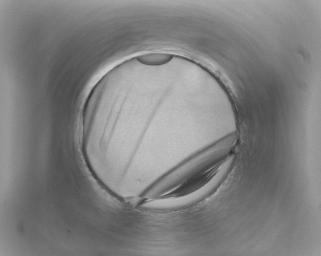 X0000114101520200911161047