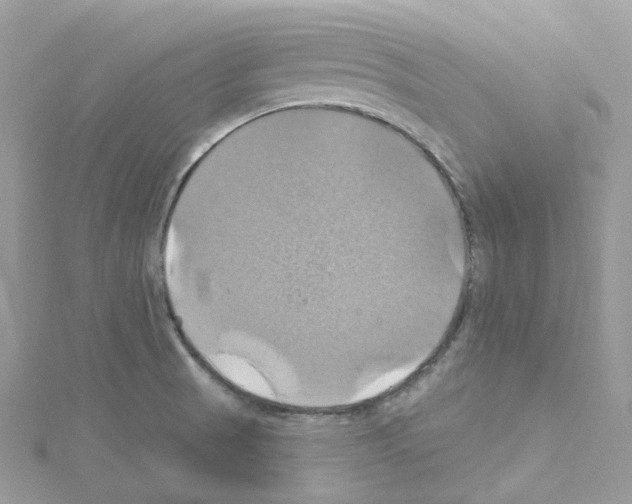 X0000114101521200911161047