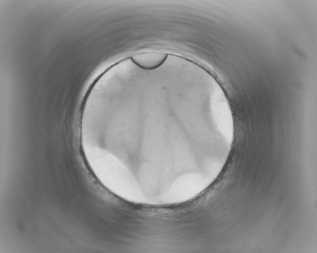 X0000114101522200911161047