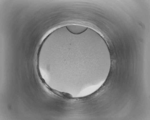 X0000114101523200911161047