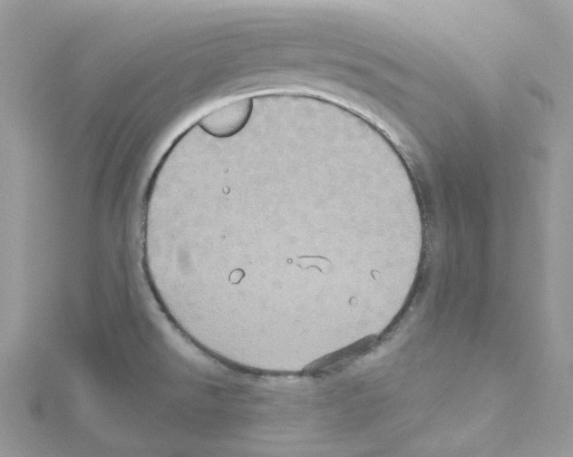 X0000114101526200911161047