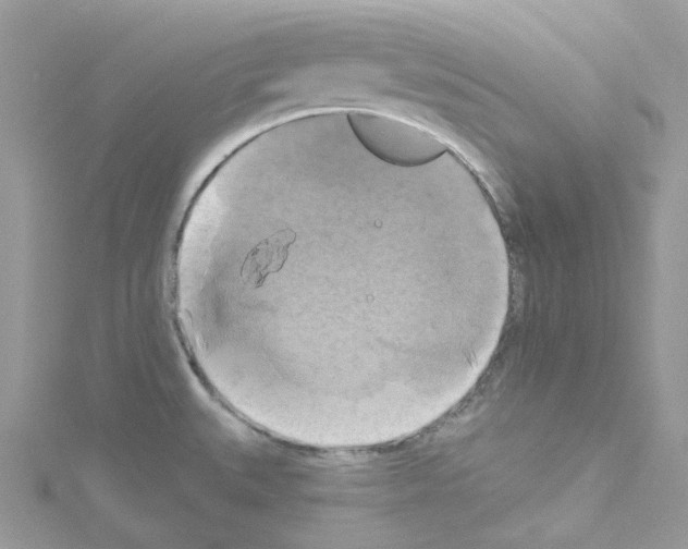 X0000114101527200911161047