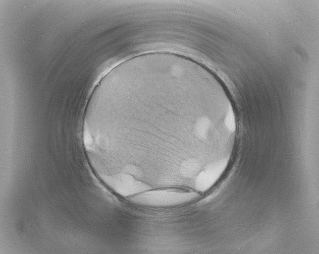 X0000114101529200911161047