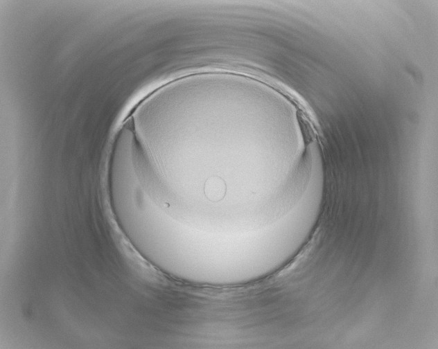 X0000114101530200911161047