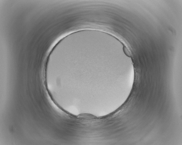 X0000114101531200911161047