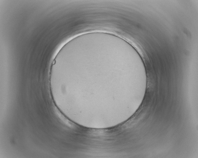 X0000114101532200911161048